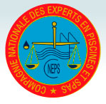 logo-cneps